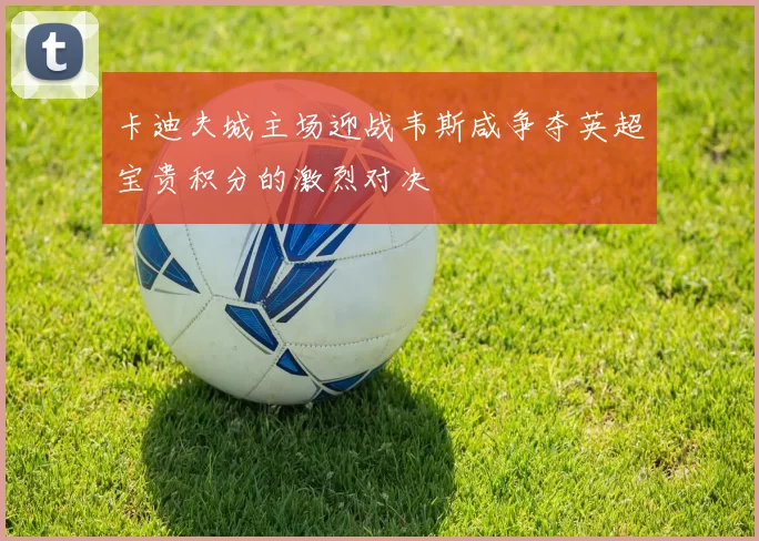 卡迪夫城主场迎战韦斯咸争夺英超宝贵积分的激烈对决