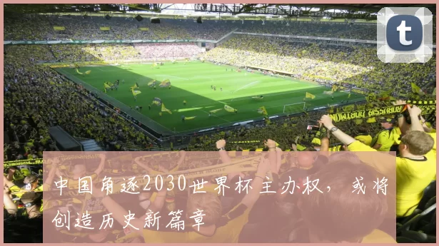 中国角逐2030世界杯主办权，或将创造历史新篇章