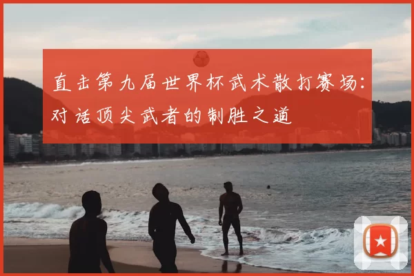 直击第九届世界杯武术散打赛场:对话顶尖武者的制胜之道