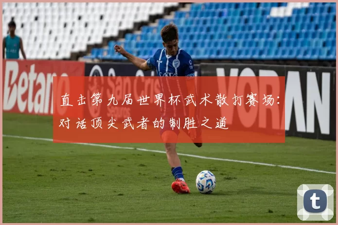 直击第九届世界杯武术散打赛场:对话顶尖武者的制胜之道