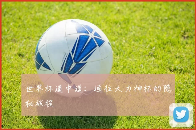 世界杯道中道：通往大力神杯的隐秘旅程