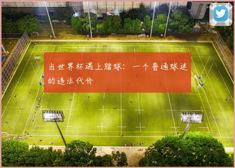 当世界杯遇上赌球：一个普通球迷的违法代价