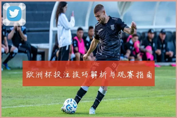 欧洲杯投注技巧解析与观赛指南