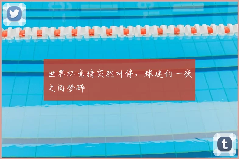 世界杯竞猜突然叫停，球迷们一夜之间梦碎