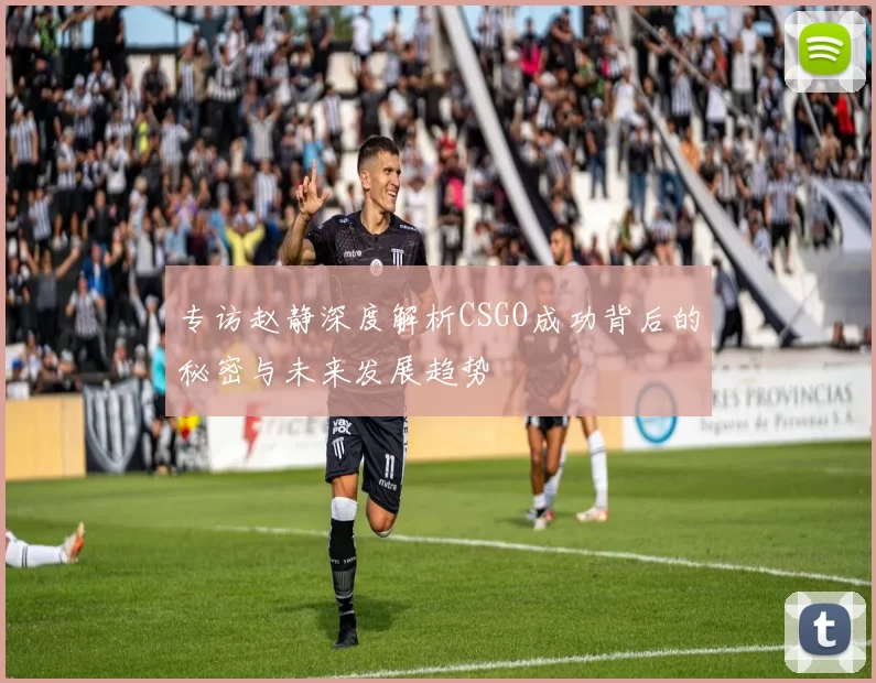 专访赵静深度解析CSGO成功背后的秘密与未来发展趋势
