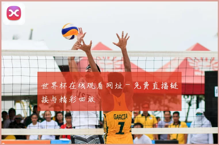 世界杯在线观看网址 - 免费直播链接与精彩回放