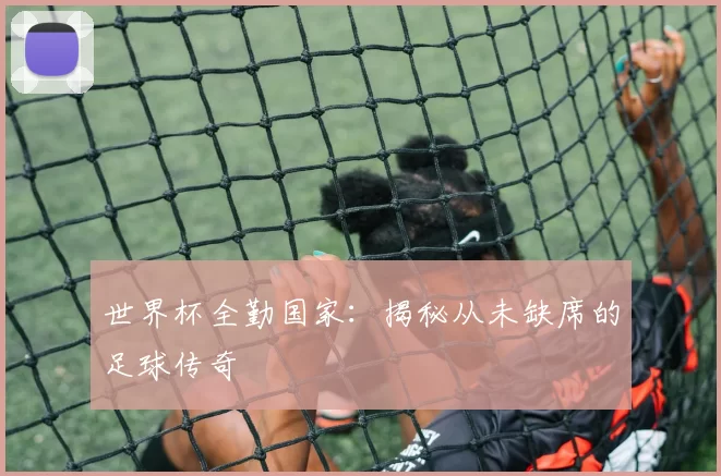 世界杯全勤国家：揭秘从未缺席的足球传奇