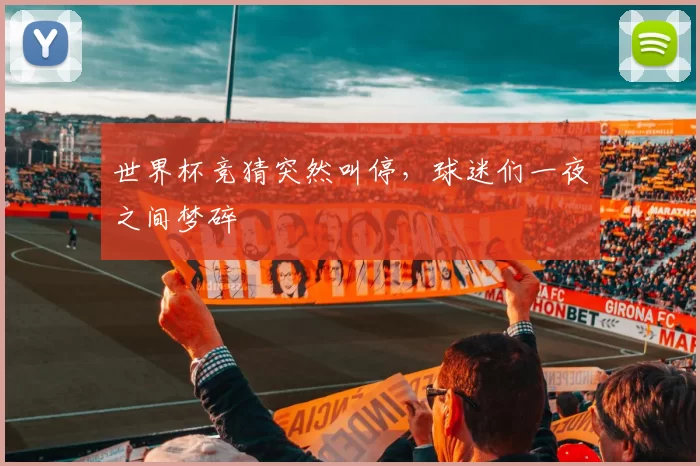 世界杯竞猜突然叫停，球迷们一夜之间梦碎