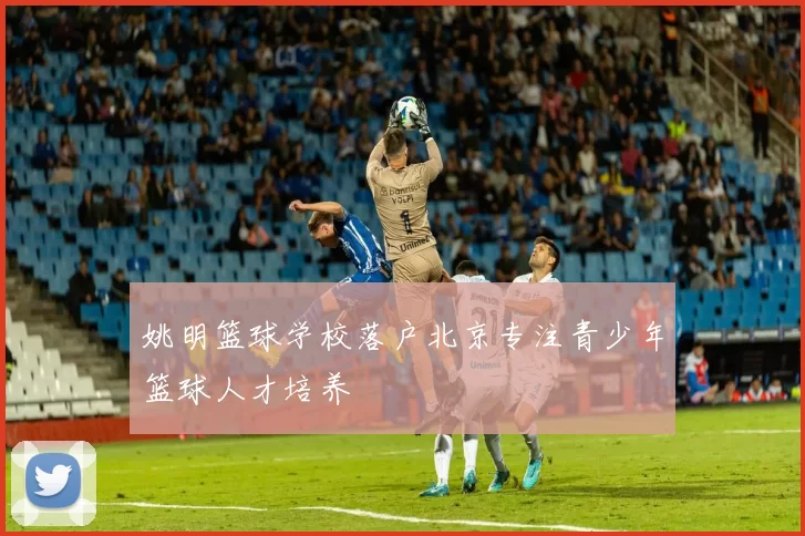 姚明篮球学校落户北京专注青少年篮球人才培养
