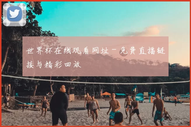 世界杯在线观看网址 - 免费直播链接与精彩回放