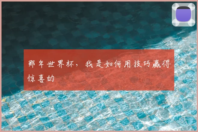 那年世界杯，我是如何用技巧赢得惊喜的