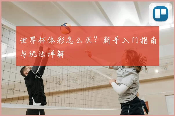世界杯体彩怎么买？新手入门指南与玩法详解