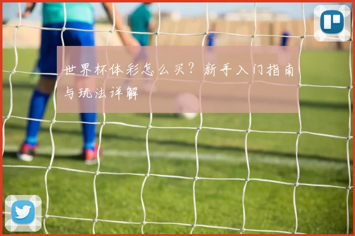世界杯体彩怎么买？新手入门指南与玩法详解