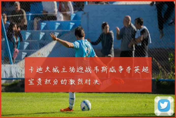 卡迪夫城主场迎战韦斯咸争夺英超宝贵积分的激烈对决
