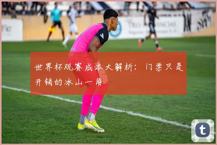 世界杯观赛成本大解析：门票只是开销的冰山一角