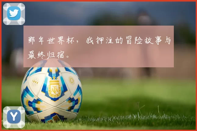 那年世界杯,我押注的冒险故事与最终归宿。